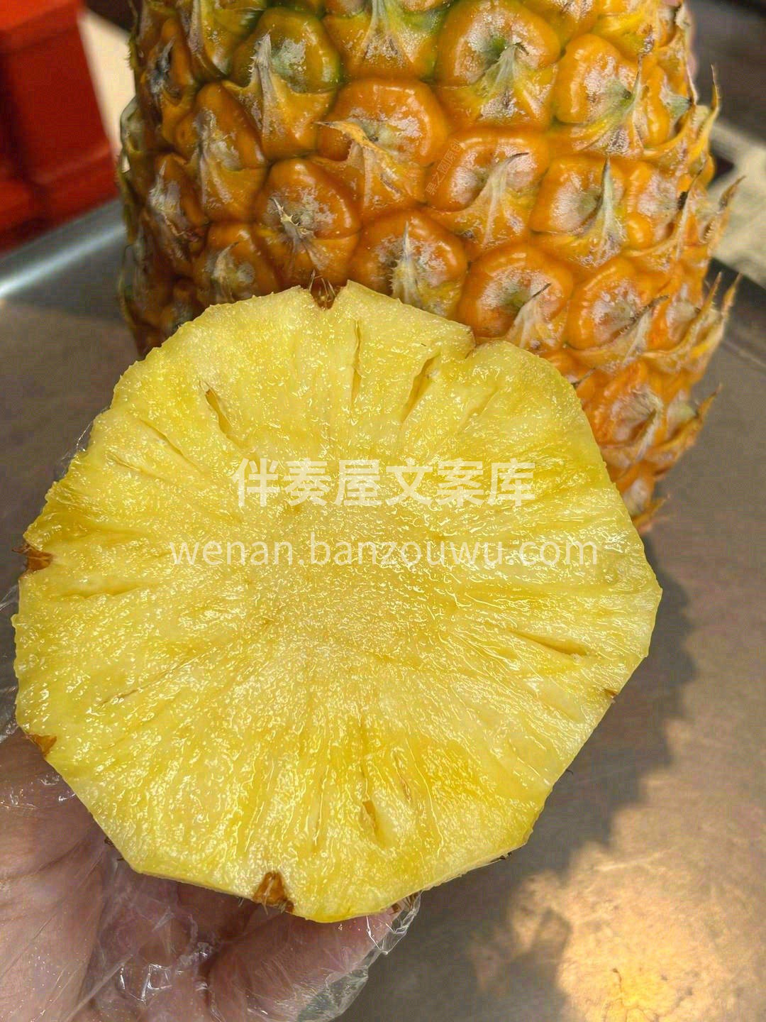 🌼☀️ 每一天都有小惊喜藏在生活里 时光 配图3