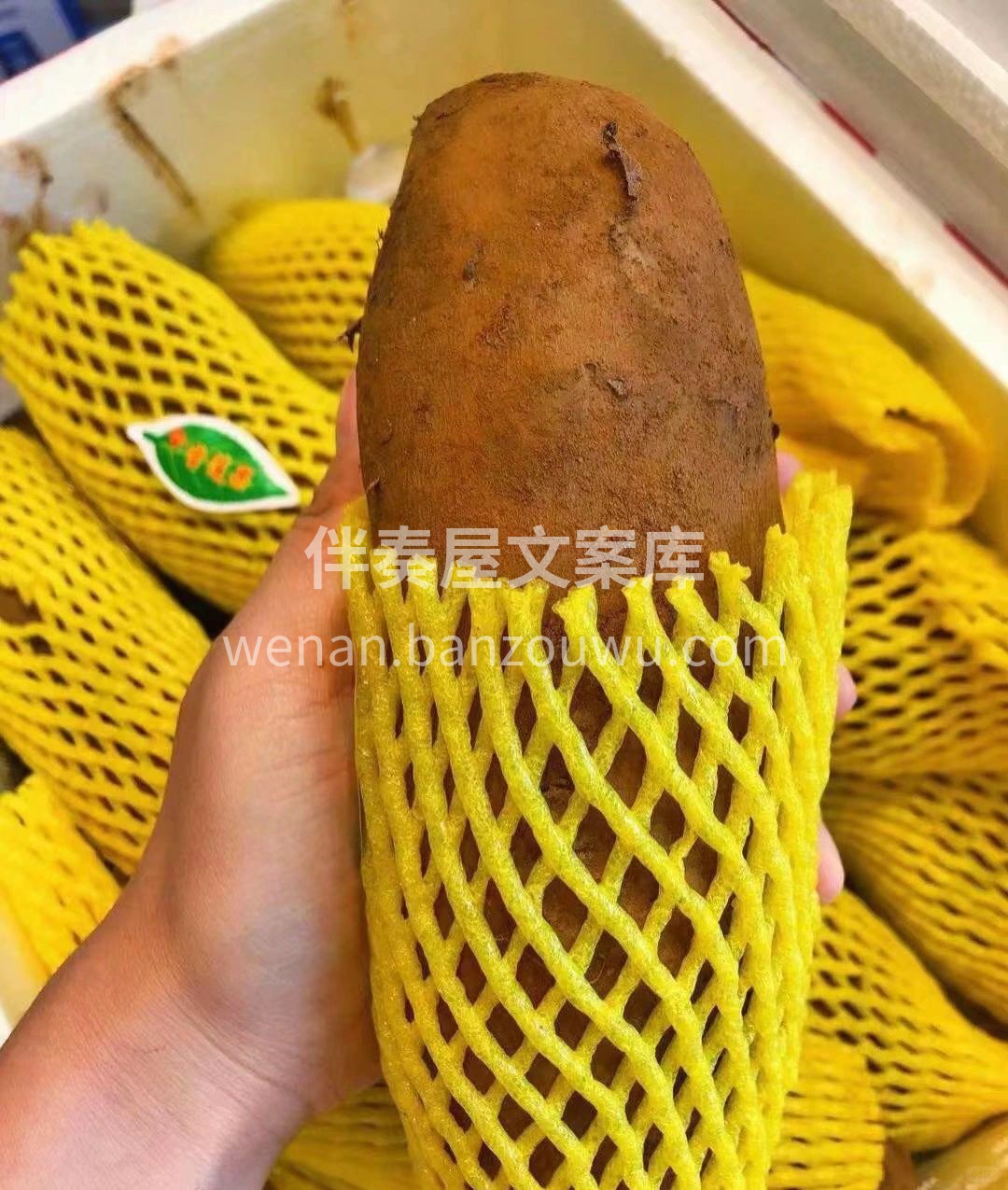 天山雪莲果~ 轻食主义者必备， 为健康多 配图2