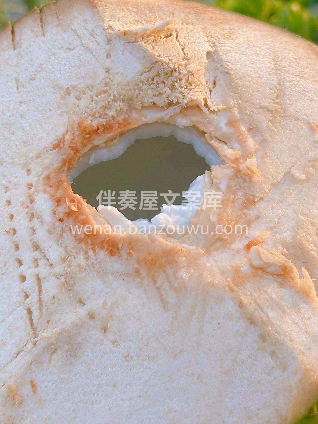 如果说这世界上有一种天然果汁，大概当属椰 配图2