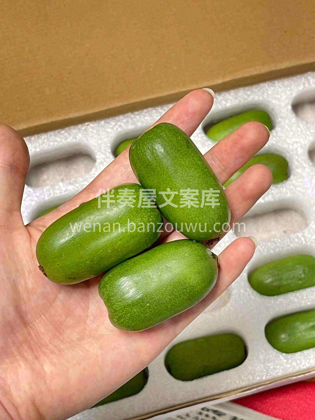 VC之王软枣奇异莓🌿 美容养颜，低卡低热 配图2