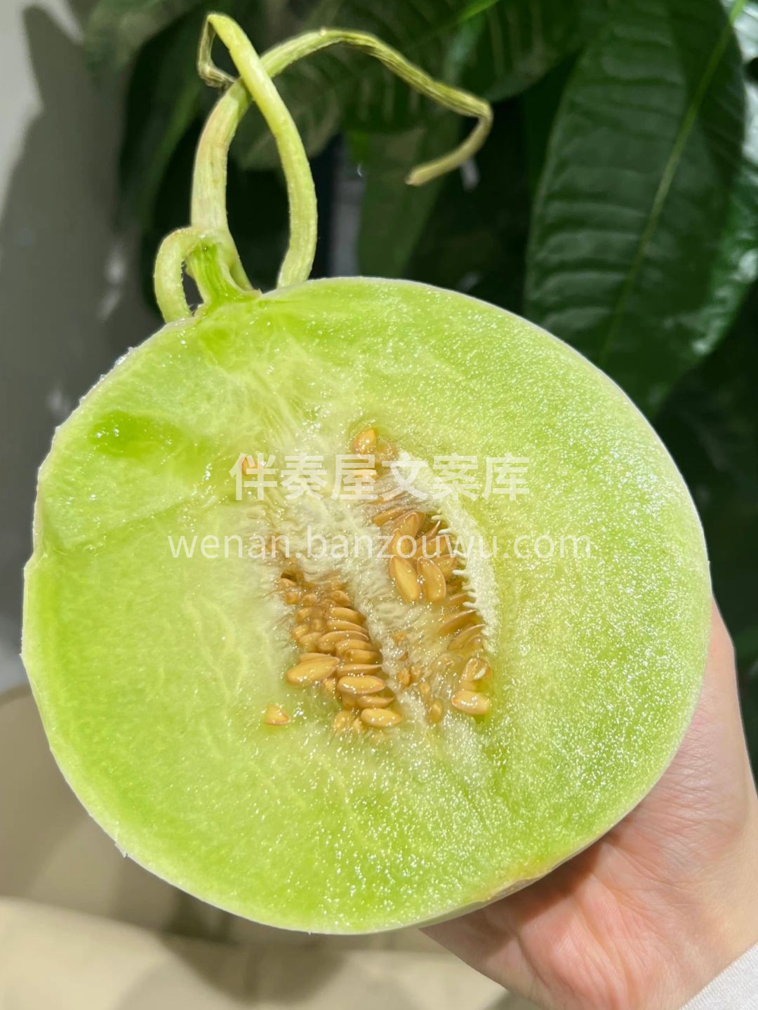 水果来咯，新鲜得发光🍓🍊🍍 果香扑鼻，甜 配图2