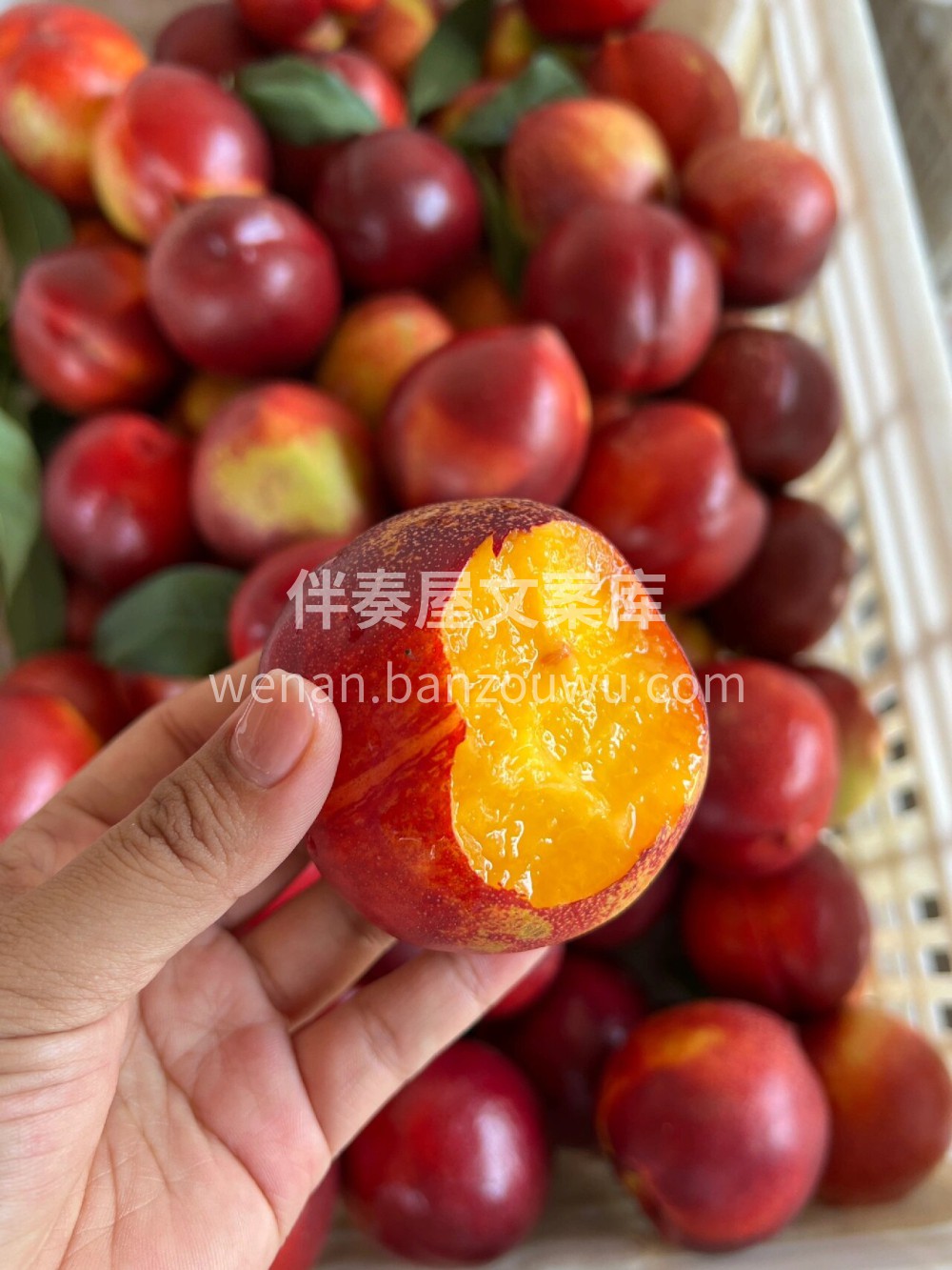 🍑 油桃每年爆款～ 桃味十足 💟更有美肤 配图2