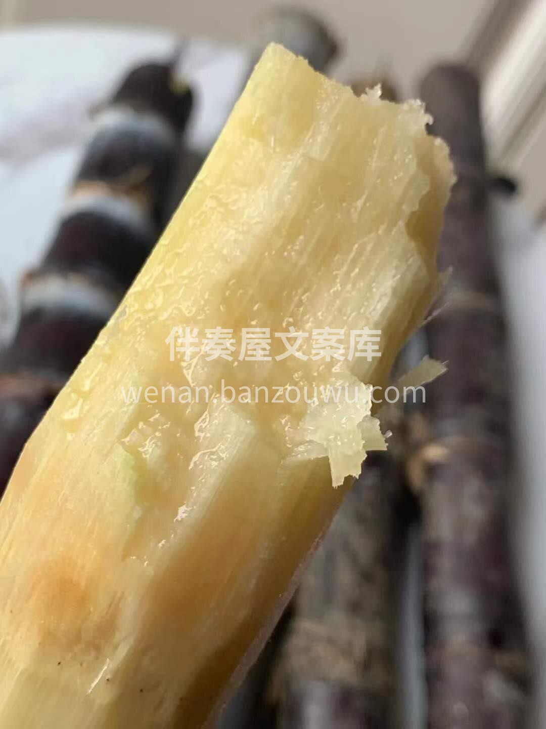 又到了啃甘蔗的季节啦！！ 🍂 新鲜广西黑 配图3