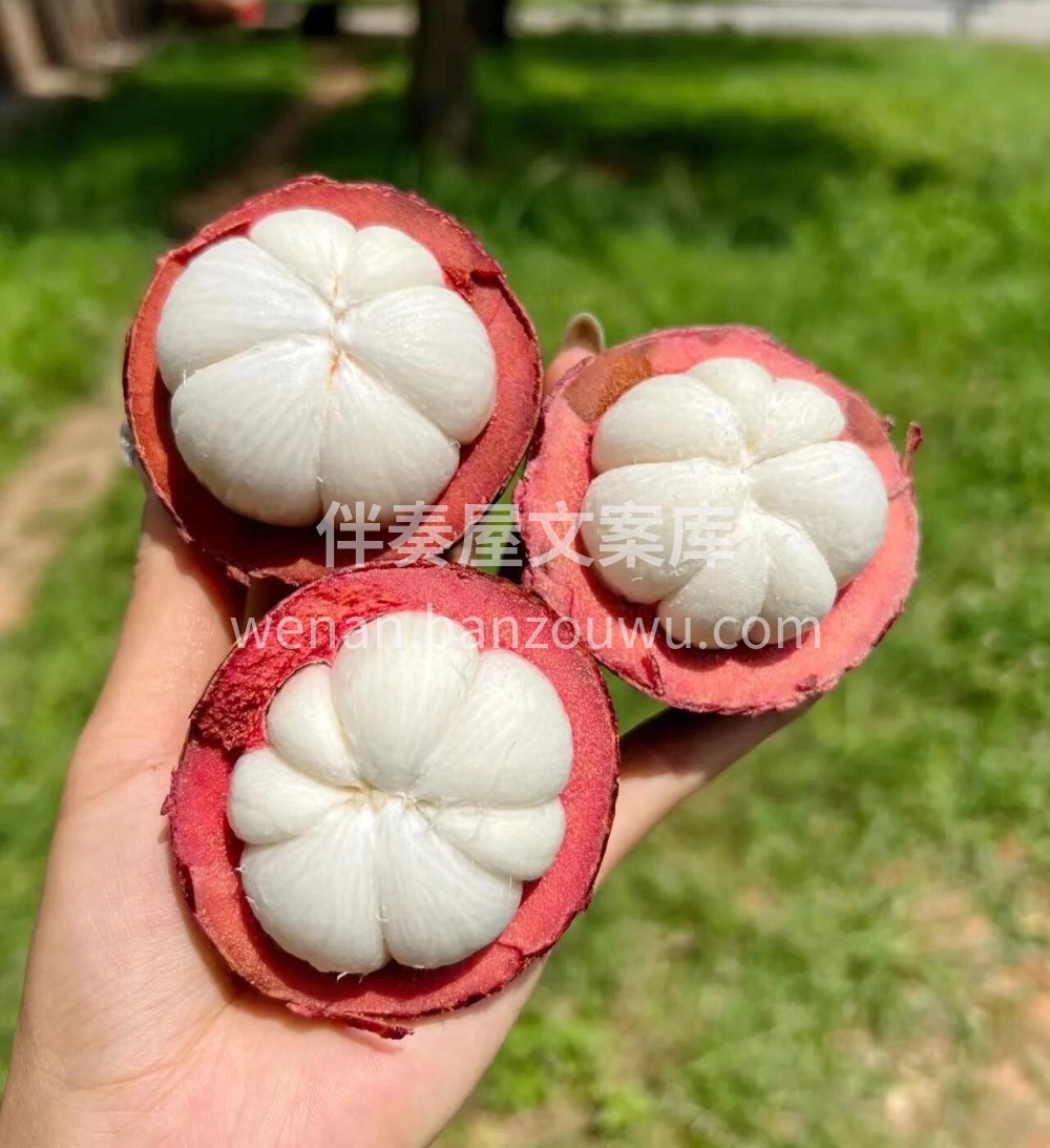 😎咱们家山竹放心冲‼️ 😍弹性好～果肉白 配图3
