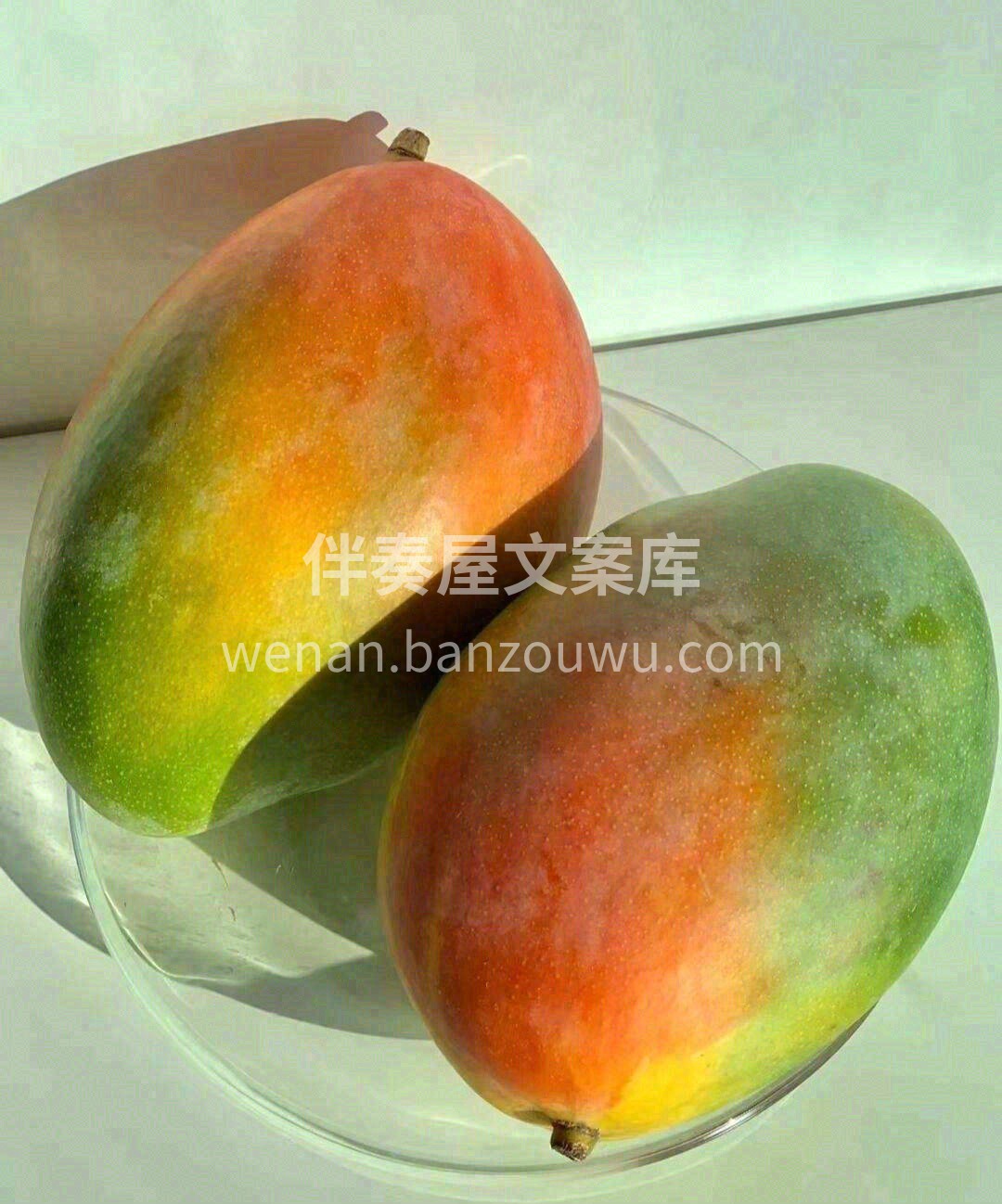 这个季节好吃的芒果🎉🎉 甜甜的野生青皮凯 配图3
