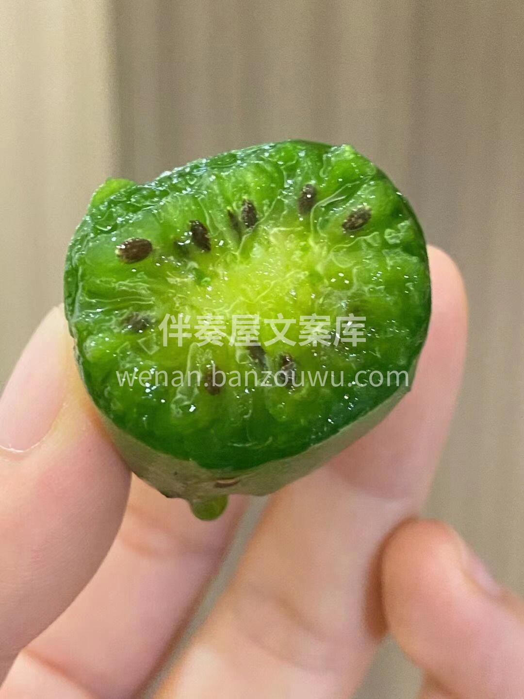 小小的TA🌿维生素E含量是牛油果的2倍， 配图2