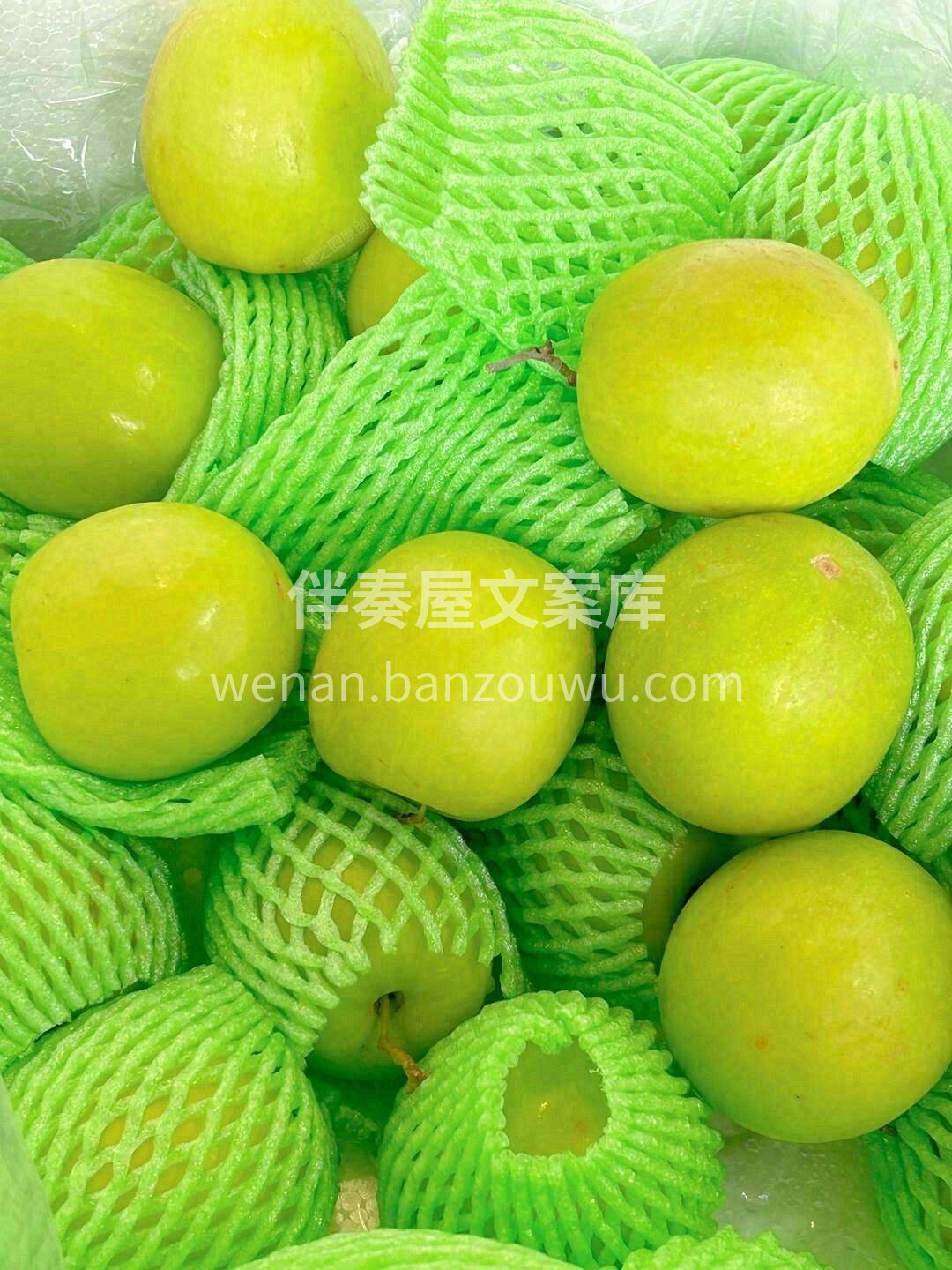 ☘️清甜爽口的奶酥苹果枣❗️ 天然维C小 配图3