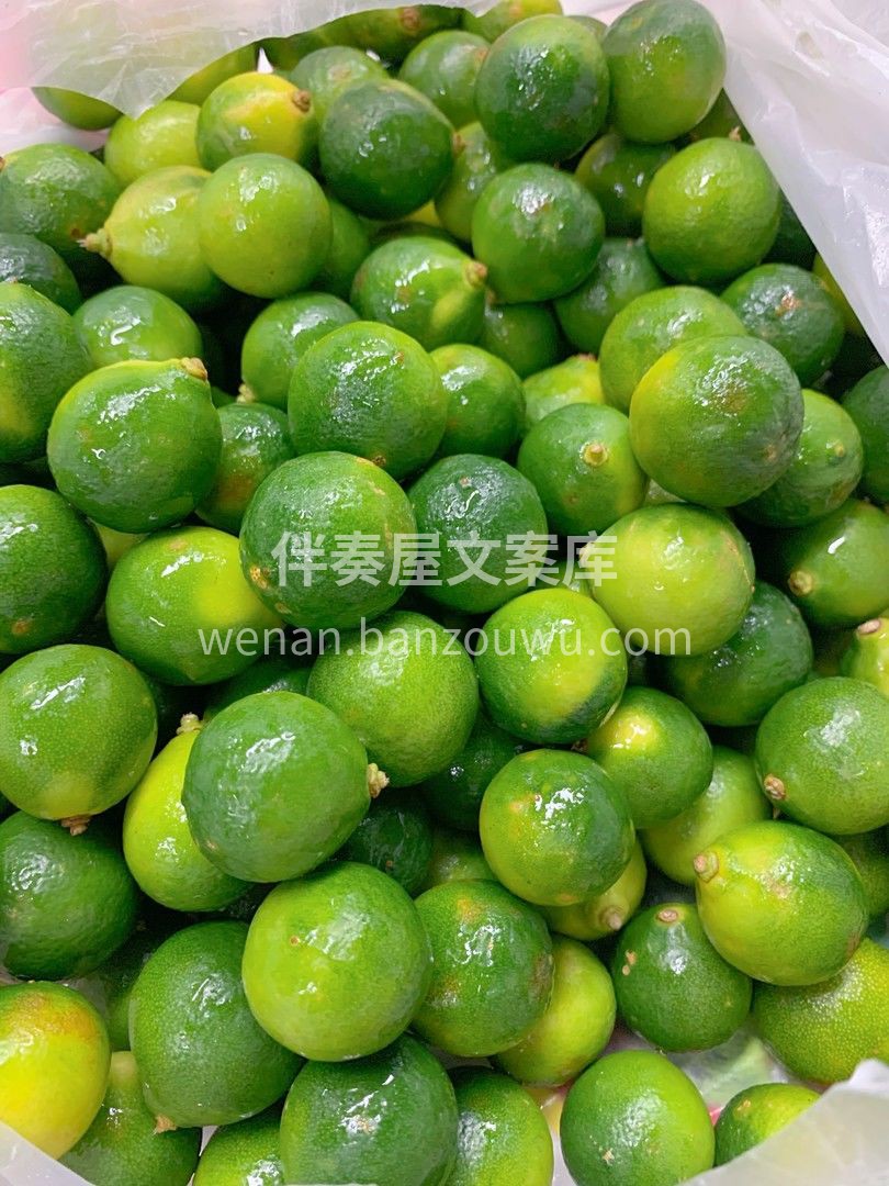 🎉新品上市💕 老树小青柑🍊，长得像青柠， 配图3
