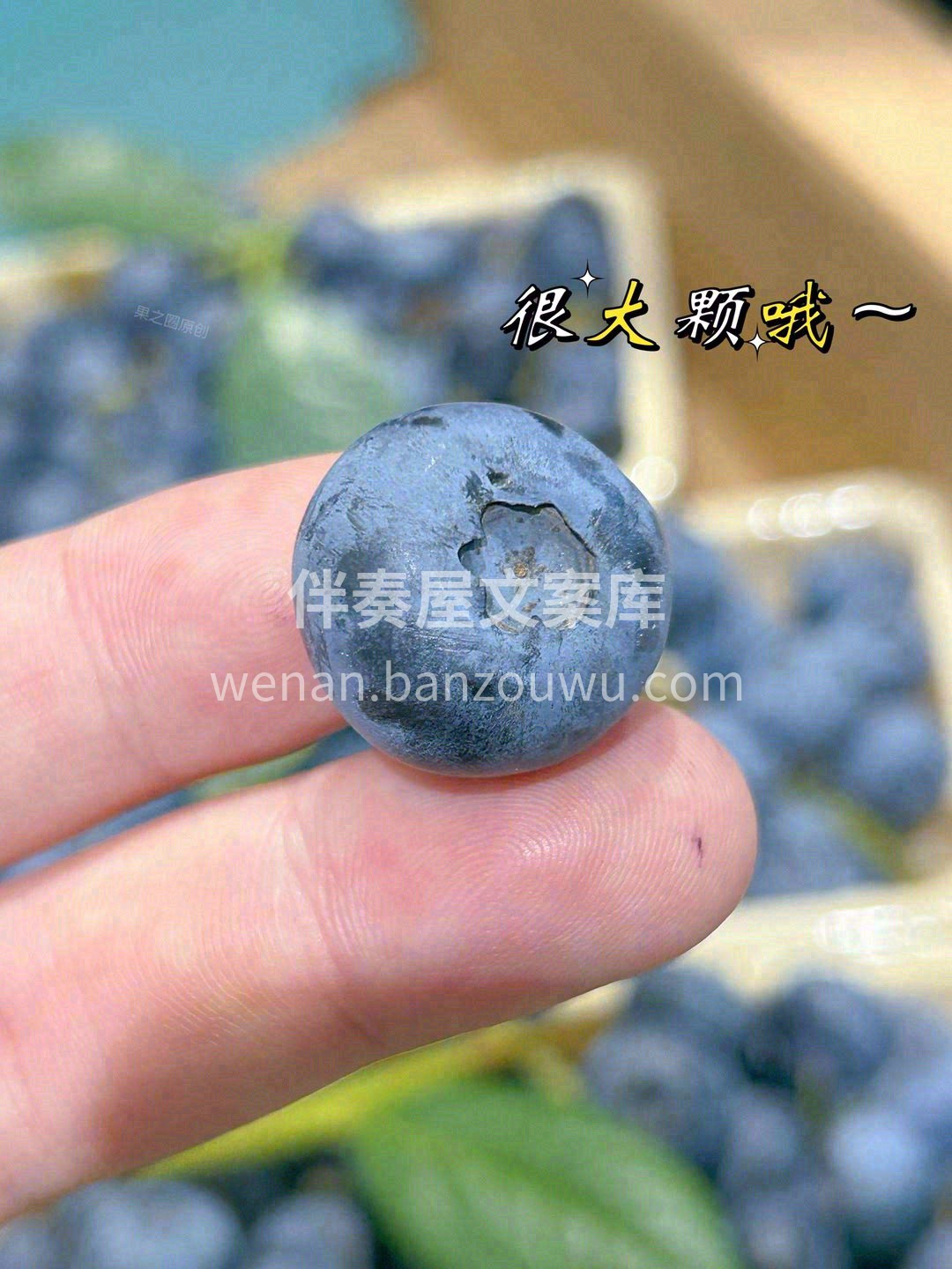 🐝蜜蜂授粉，清晨伴着露水采摘，每一串都是 配图1