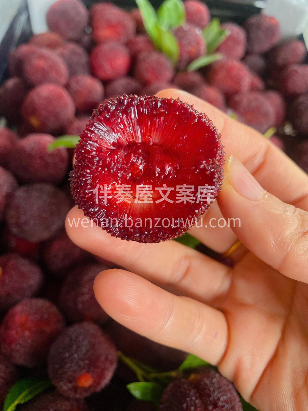 🥰不愧是浙江仙居的东魁❤️ 东魁杨梅的天 配图1