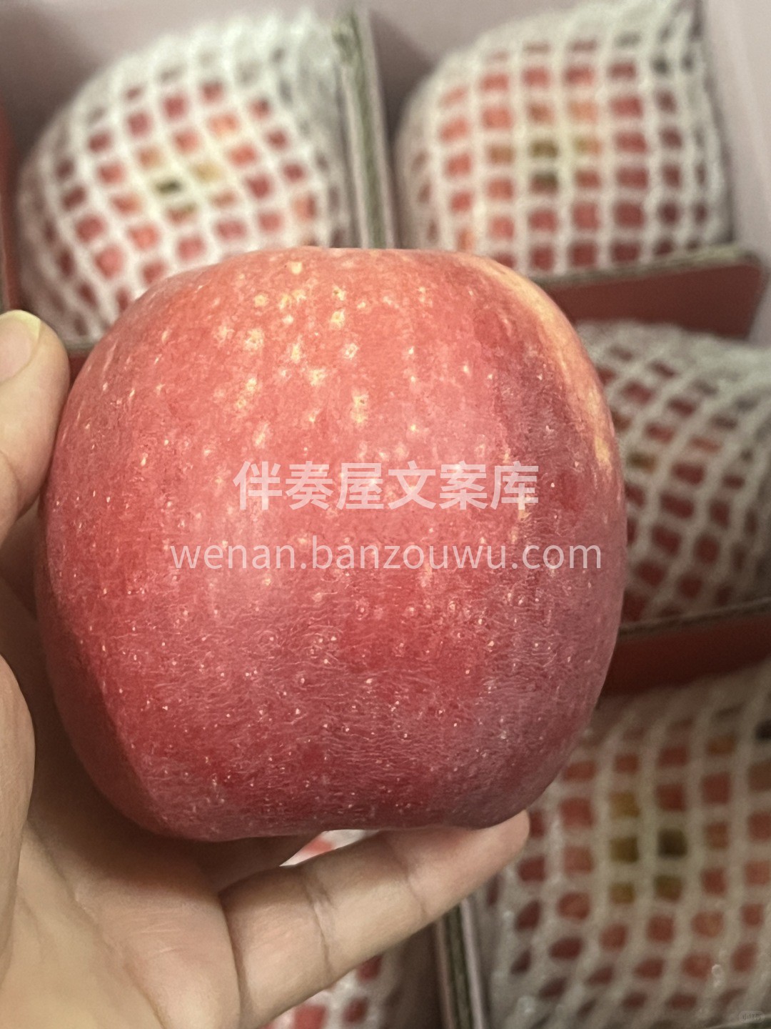 📅新年新愿望：• 健康快乐🌟• 事业有成 配图1