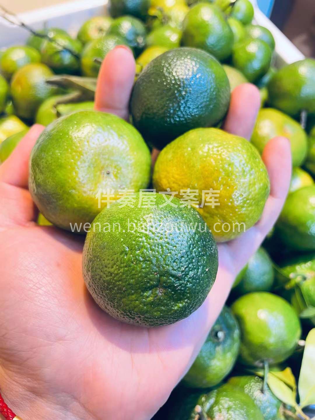 茶橘有股清香的味道🌱，后味带一丝丝茶香🍵 配图2