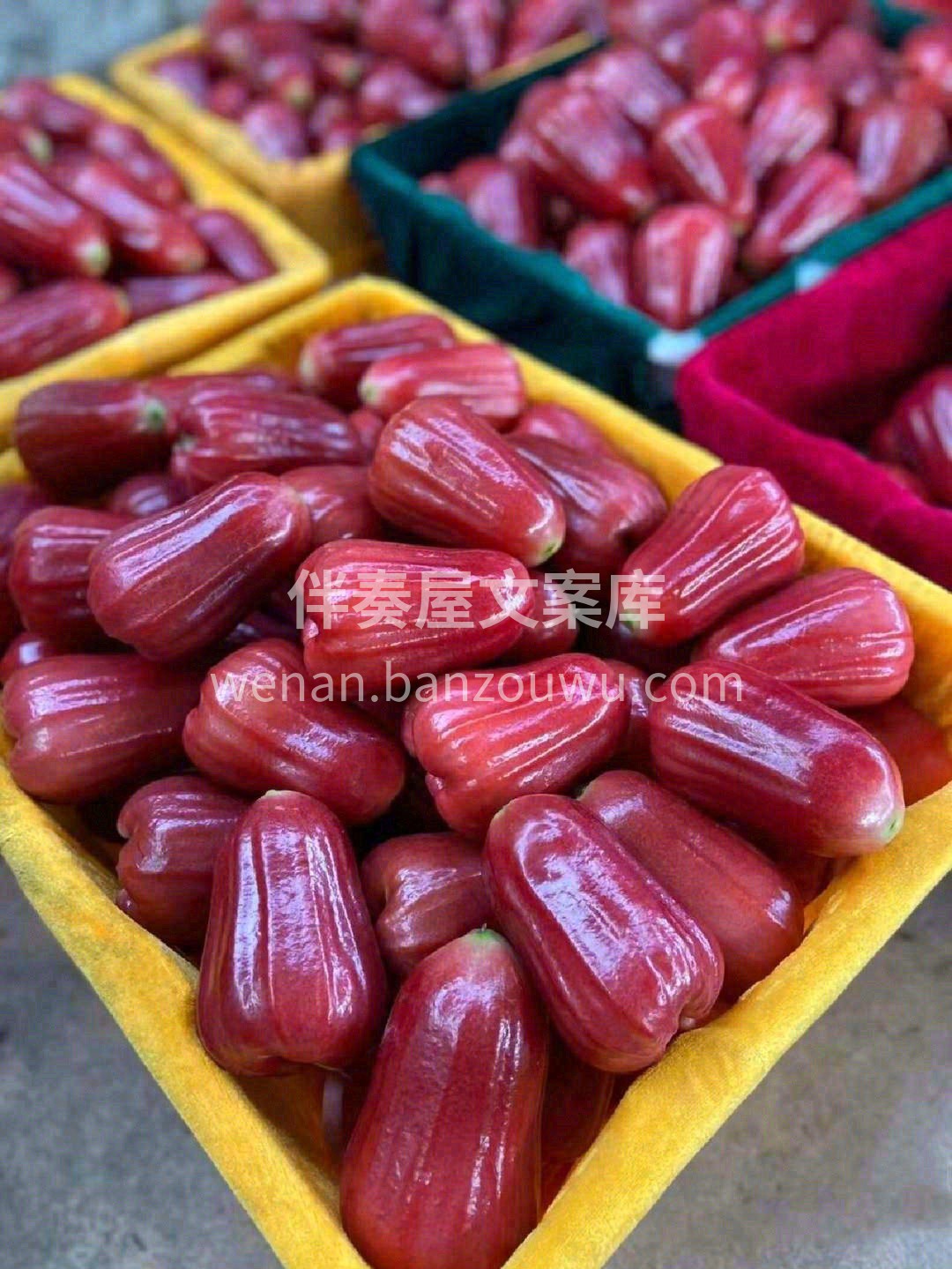 作为热带水果中的一股清流🌸 莲雾从开花到 配图3