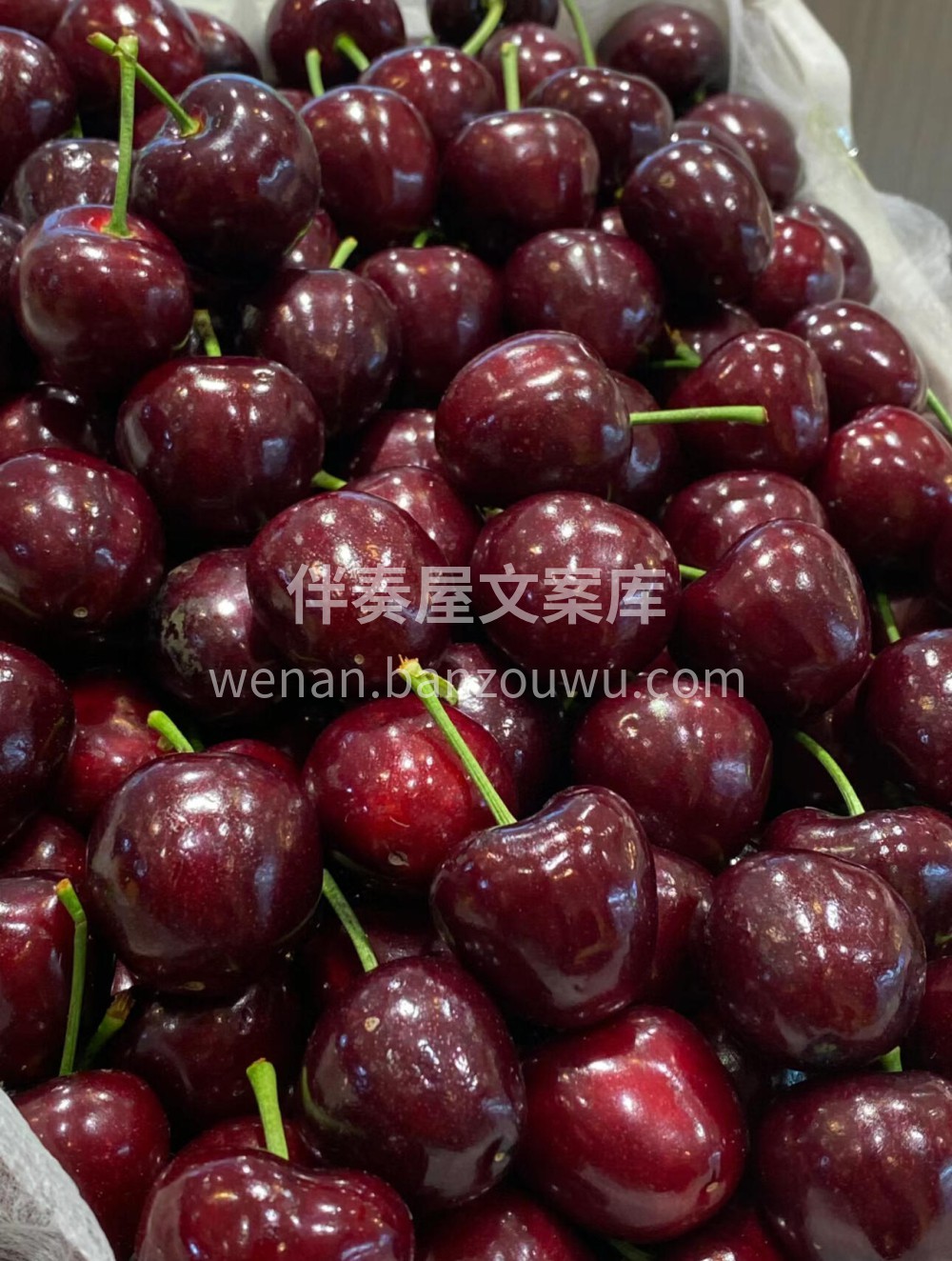 🌈你是我的“维E”～ 美早大樱桃🍒大大的 配图1