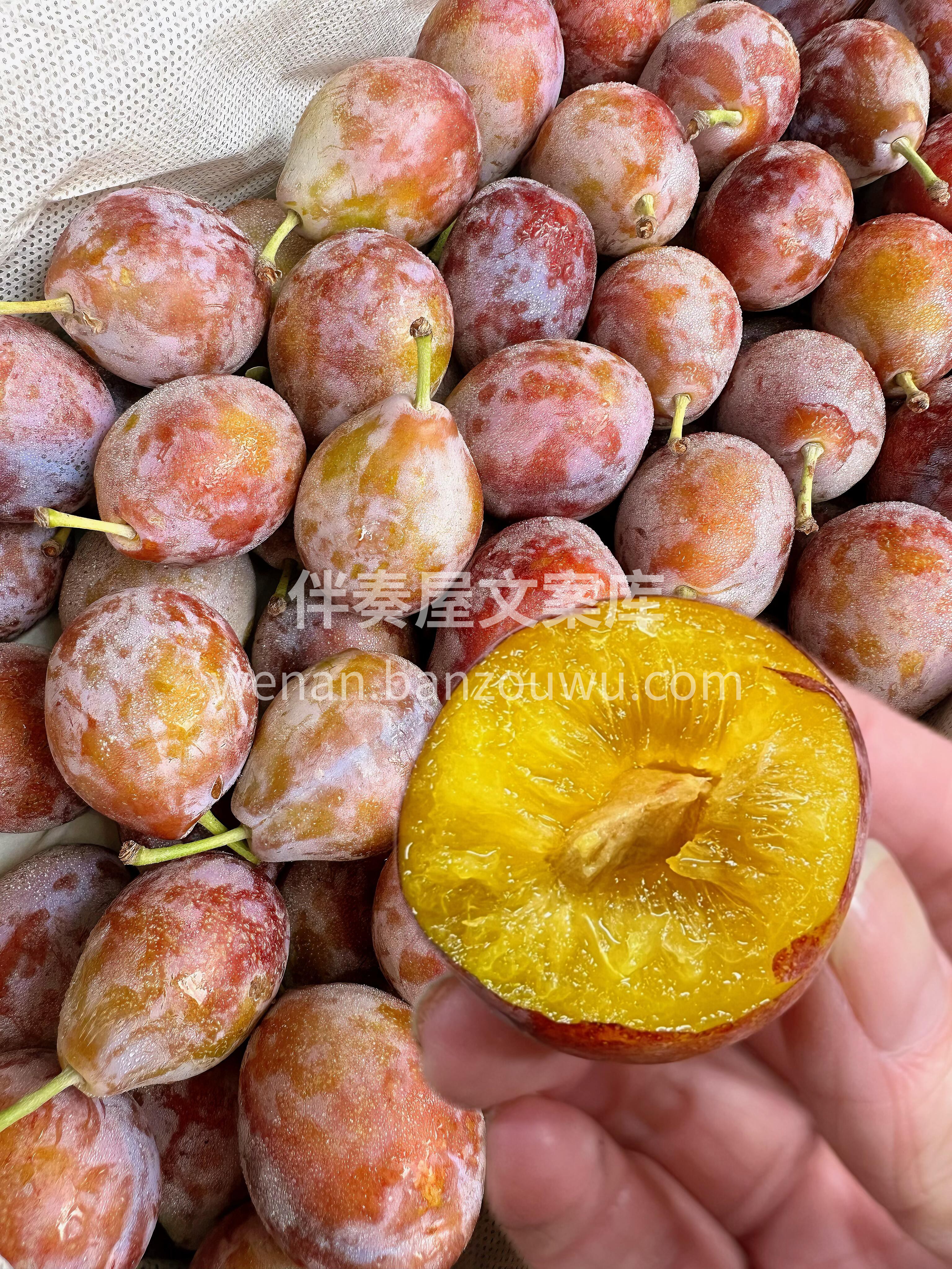 西梅✅ 真正的0脂肪水果，具有超高纤维👍 配图2