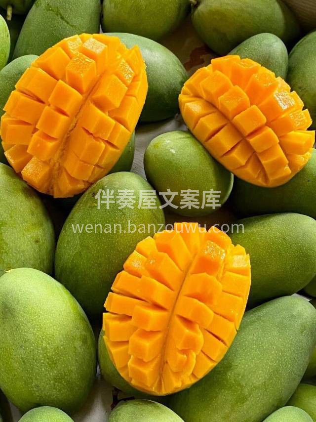 又到了吃芒果的好时节啦😍 香味十足凯特芒 配图2