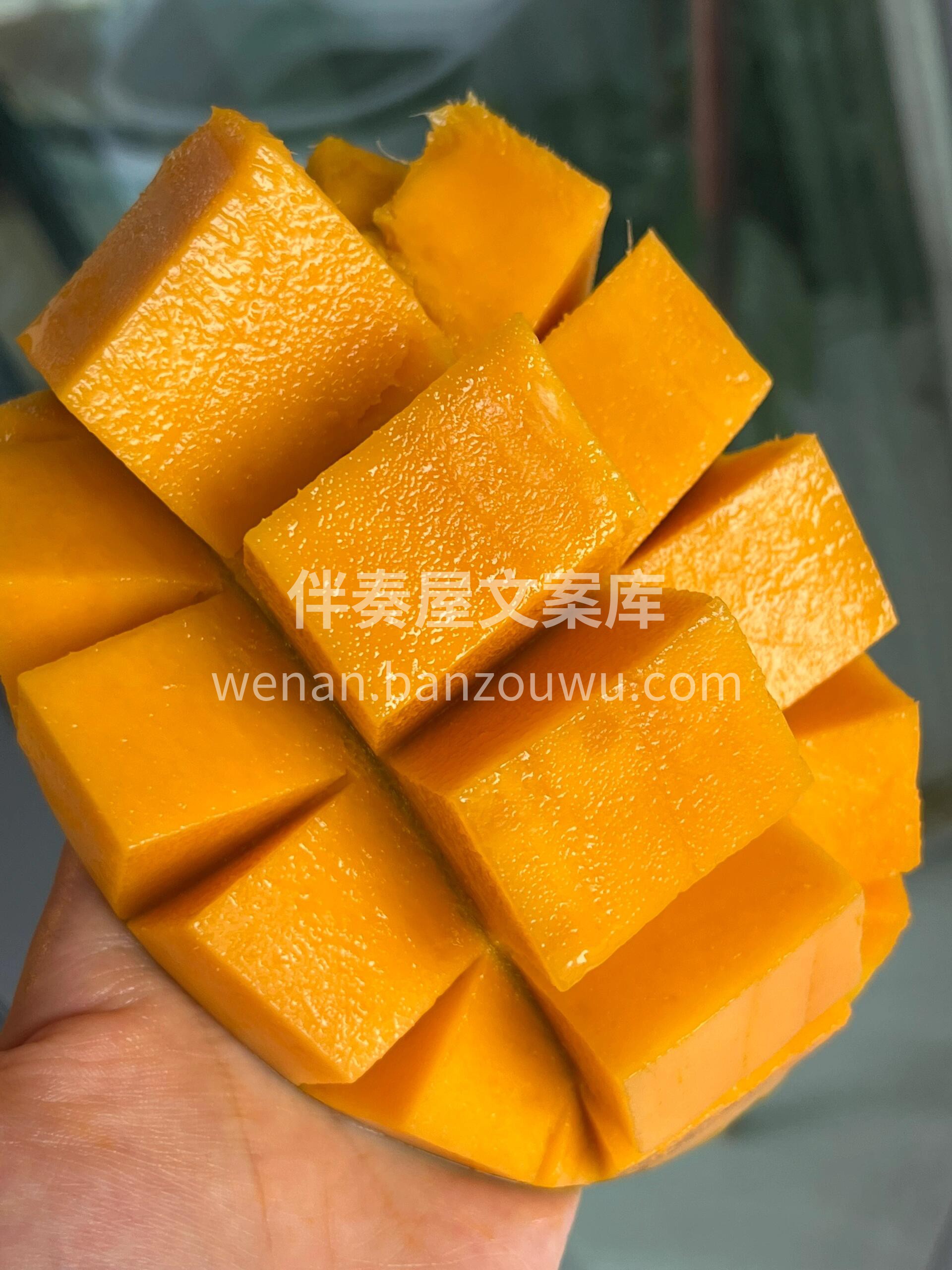 超好吃的凯特芒了解一下😍 芒果🥭控们不容 配图2