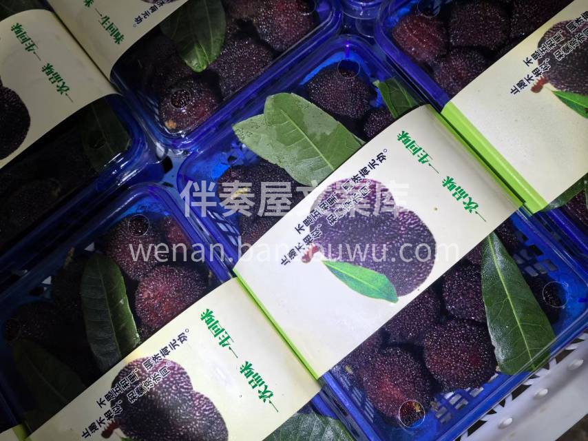 “人间至味，夏有杨梅” 夏天到啦，杨梅季 配图2
