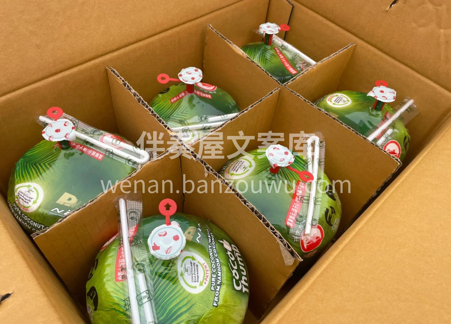 coco Thumb椰青🥥补水神器💦 泰 配图2