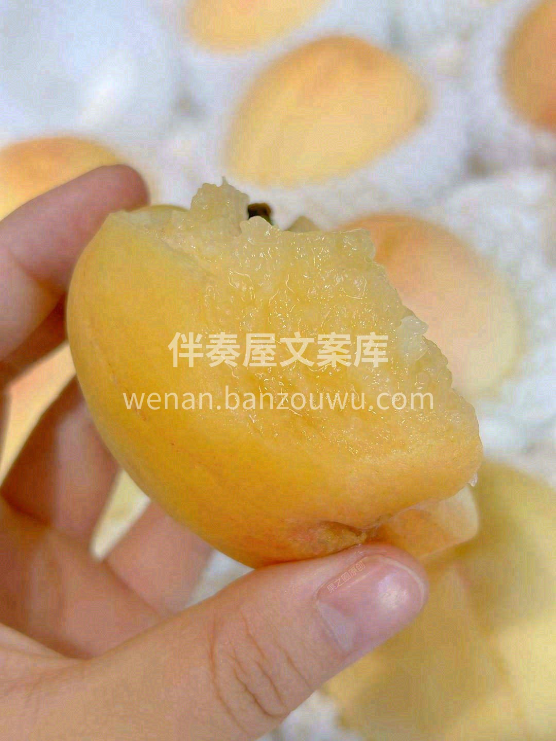 阳山水蜜桃🍑 鲜美多汁，桃你欢心💗 “水 配图1