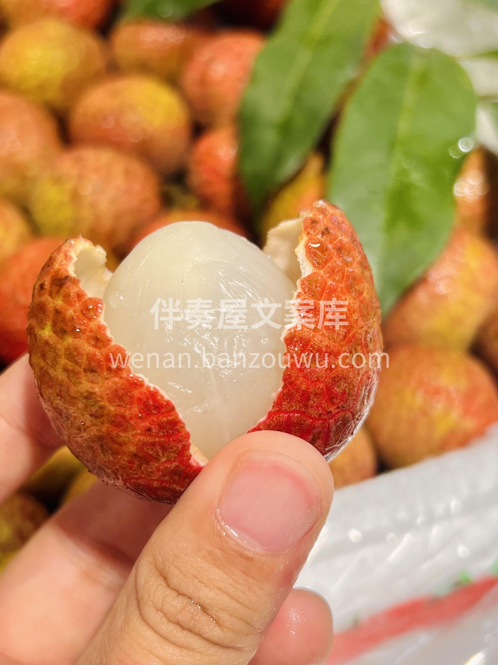 救命！水果脑袋狂喜💥 西瓜🍉裂出第一口夏 配图2