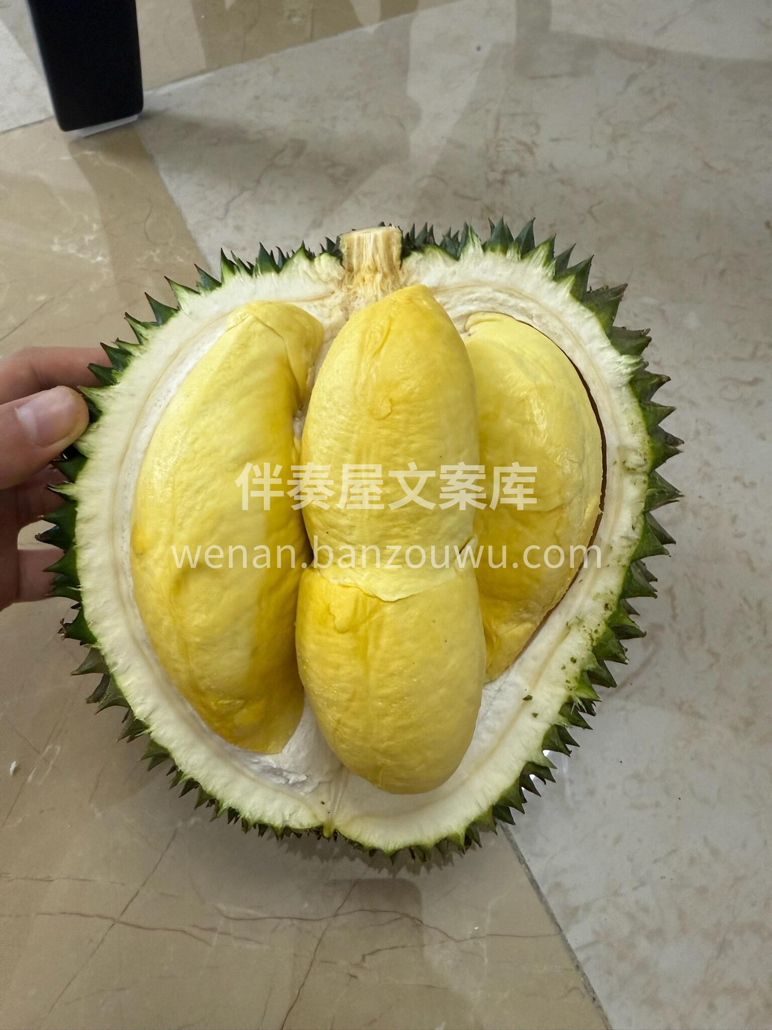 👏🏻长柄榴莲来了‼️ 果肉厚实😎看着就很 配图2