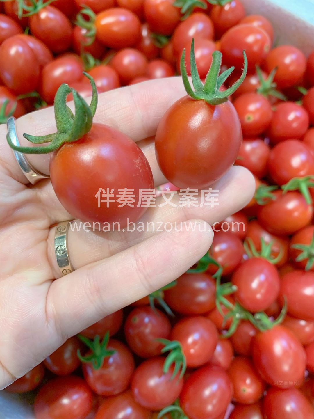 💁你一定要吃的甜过初恋豆 红彤的小柿子🍅 配图1