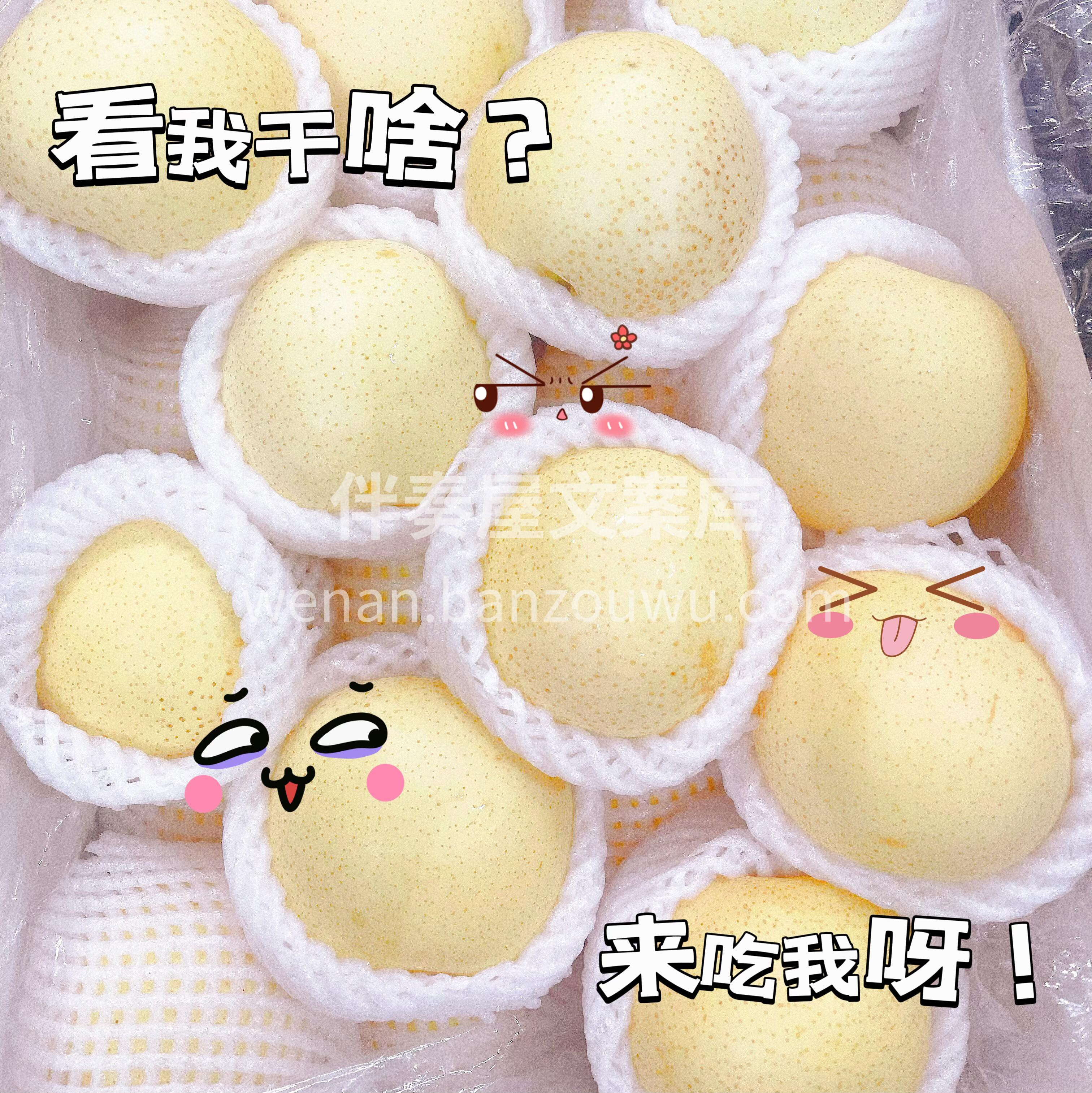 ✨一咬就“爆汁”的新鲜皇冠梨已经上市了🌞 配图2