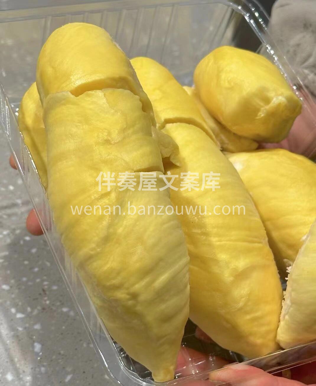 🌞又是被榴莲包围的一天☀️ 想要吃好榴莲 配图3