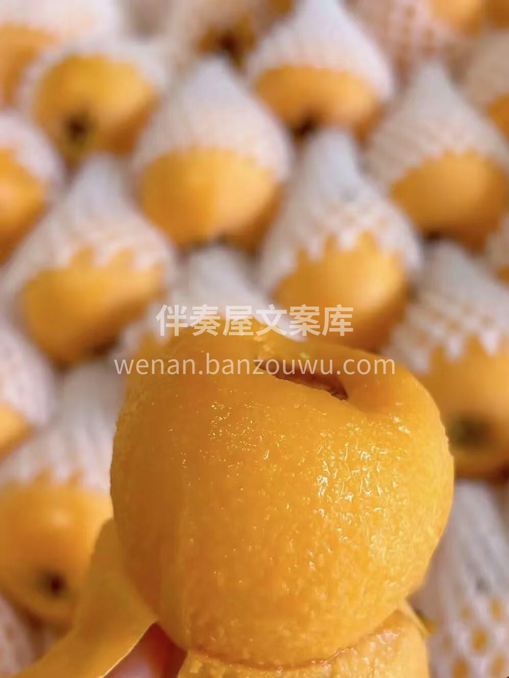 润肺小炸弹💣🔥果子超大，好甜🍯😋爽口不腻 配图2