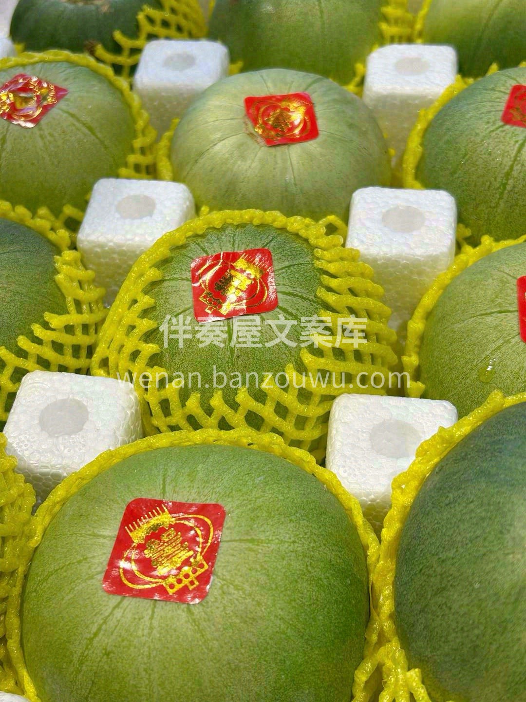 精品绿宝甜瓜，推荐：⭐⭐⭐⭐⭐～ 她犹如 配图3