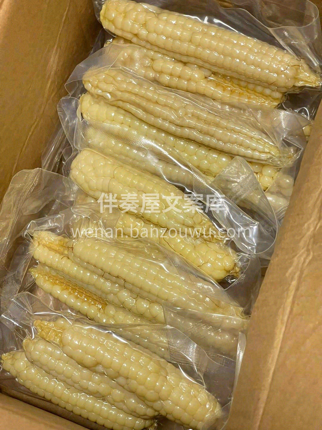🌽拇指白糯小玉米✅个头小小的，超级可爱😊 配图3