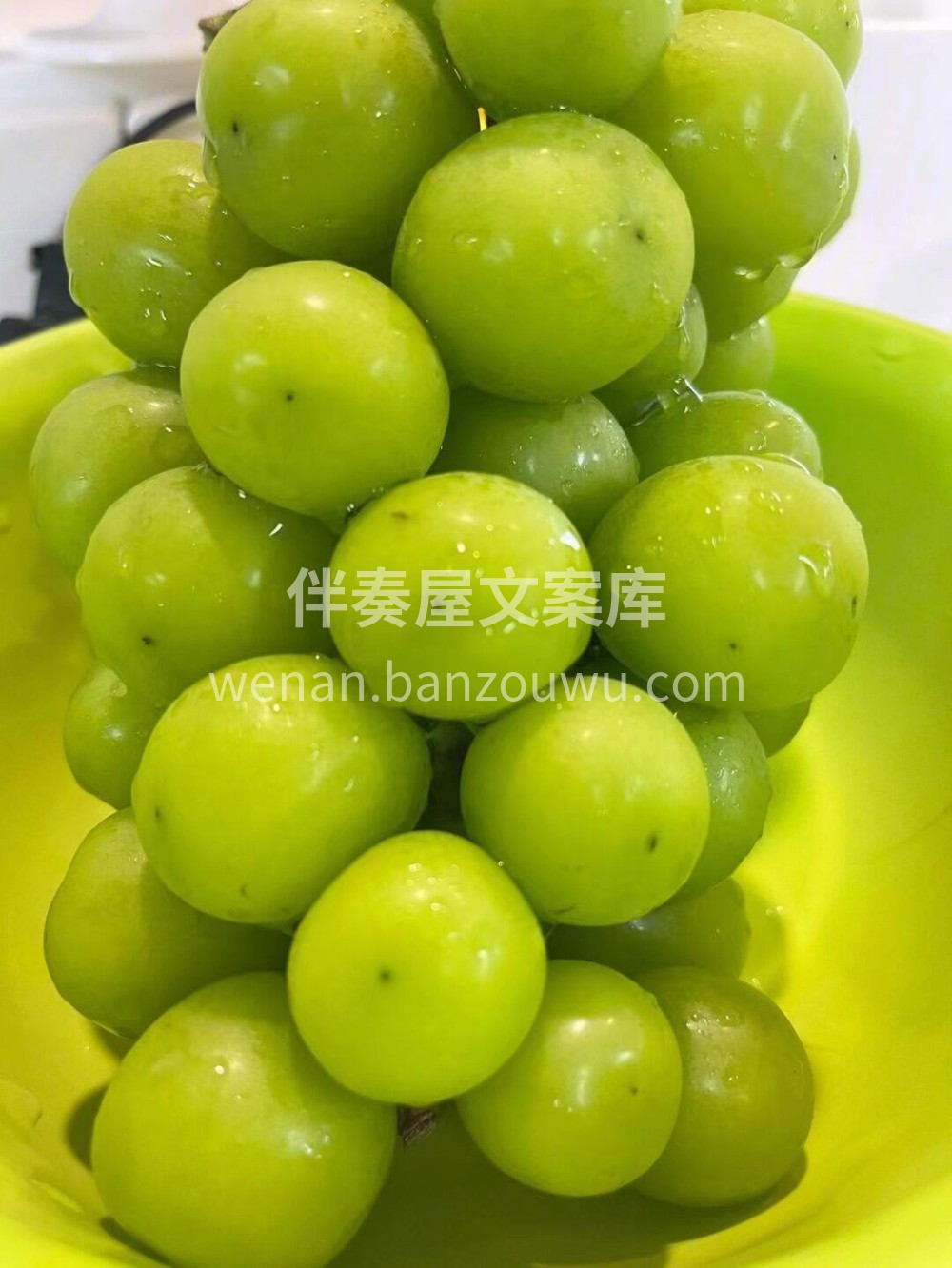 阳光玫瑰💁看这莹润的果肉，浑身散发着迷人 配图3