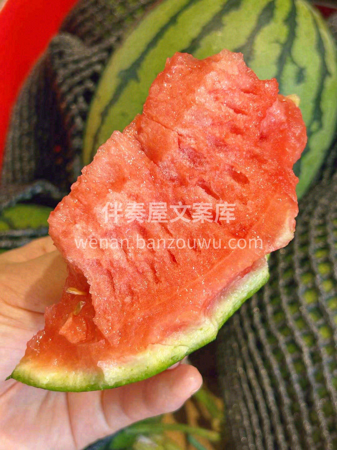 ✨果皮薄肉酥脆，甜到瓜皮 ✨甜丝丝，水汪 配图2