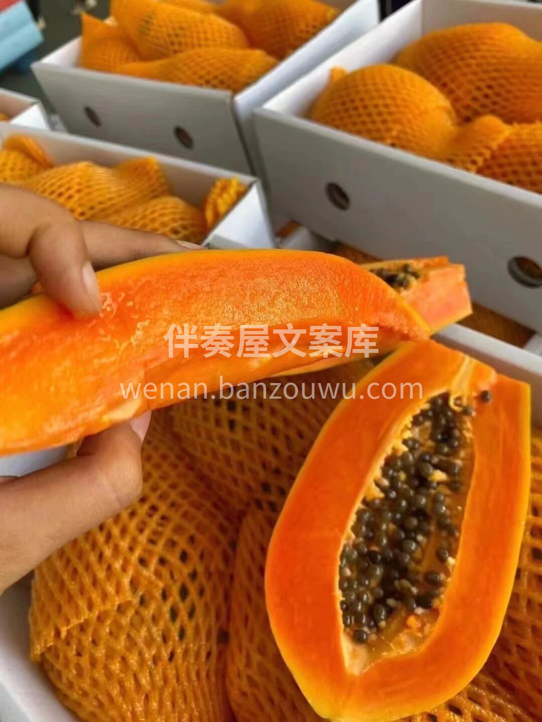 甜到心💗坎里的木瓜 口感细腻，嫩滑可口  配图3