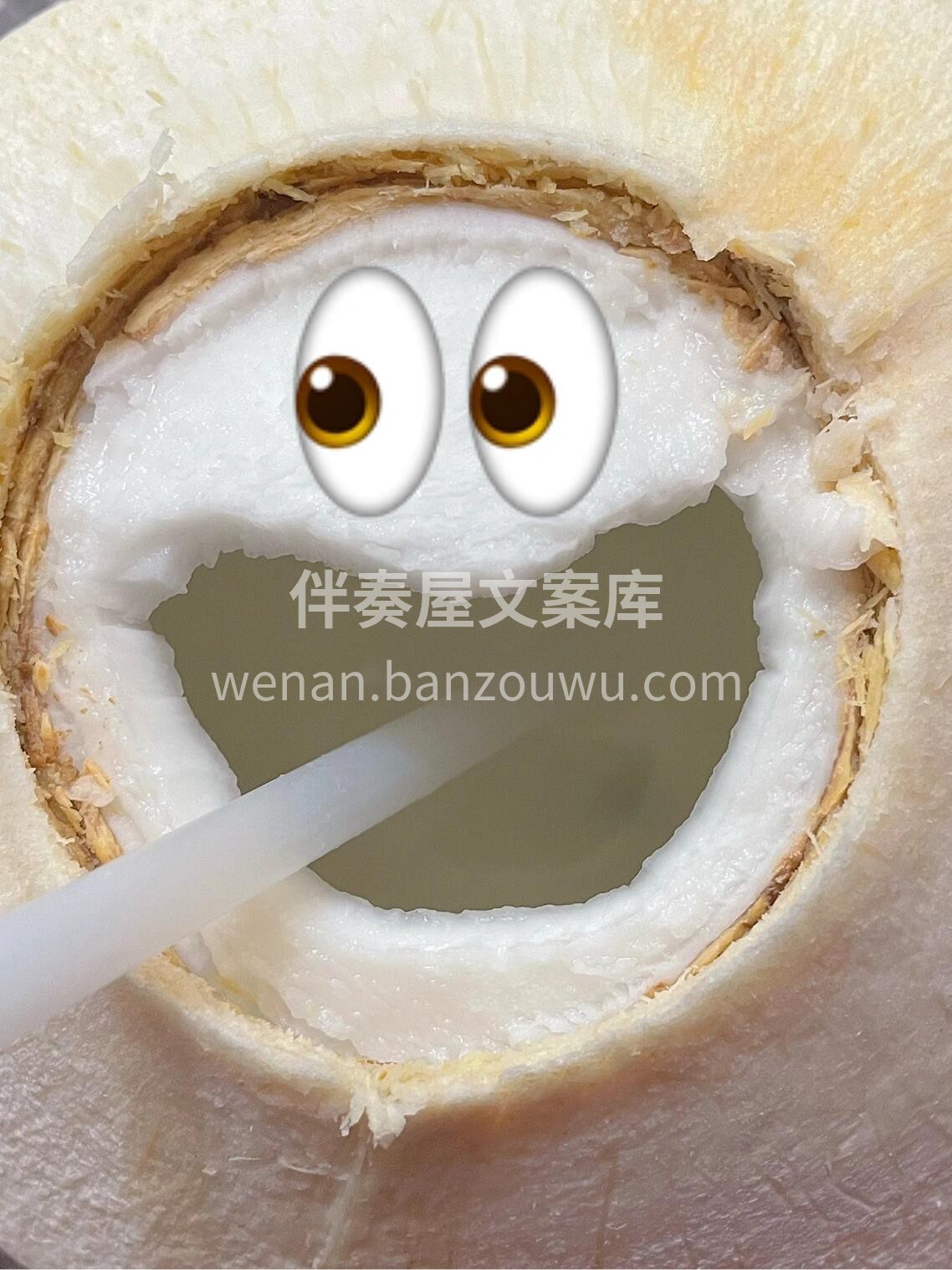 🌴椰青🥥 一整个夏天都在炫它，跟我一起吨 配图2