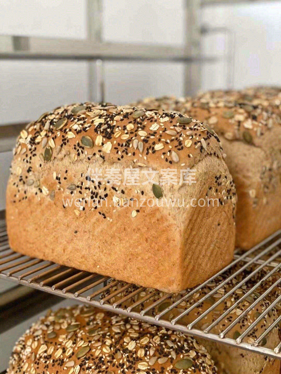 ⛱ 无糖无油全麦吐司🍞 😋口感韧性和嚼劲 配图2