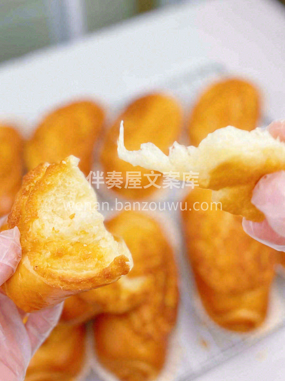 在素年锦时的时光里🔆 细品岁月静好🥰 听 配图1