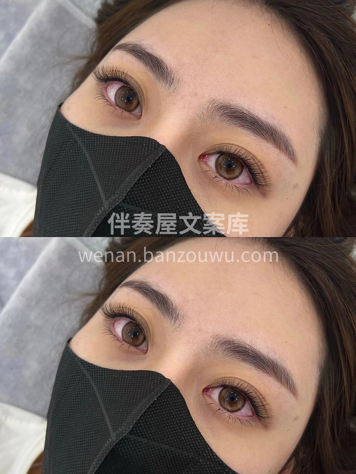 小姐姐种的三叶草 毛绒绒的蓬松感 清爽不