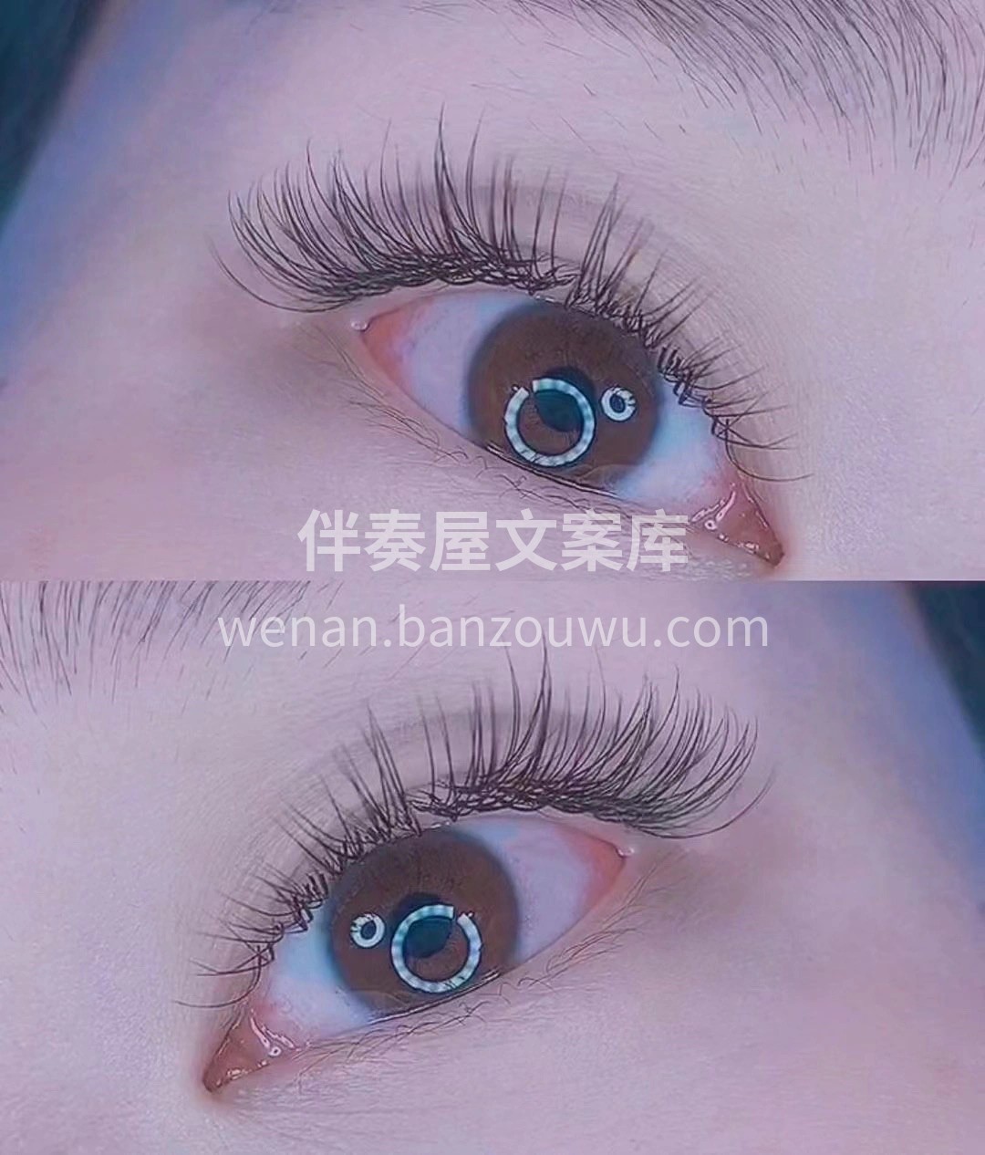 眼睫下的流苏 “动了谁人心魂” ❀ண H