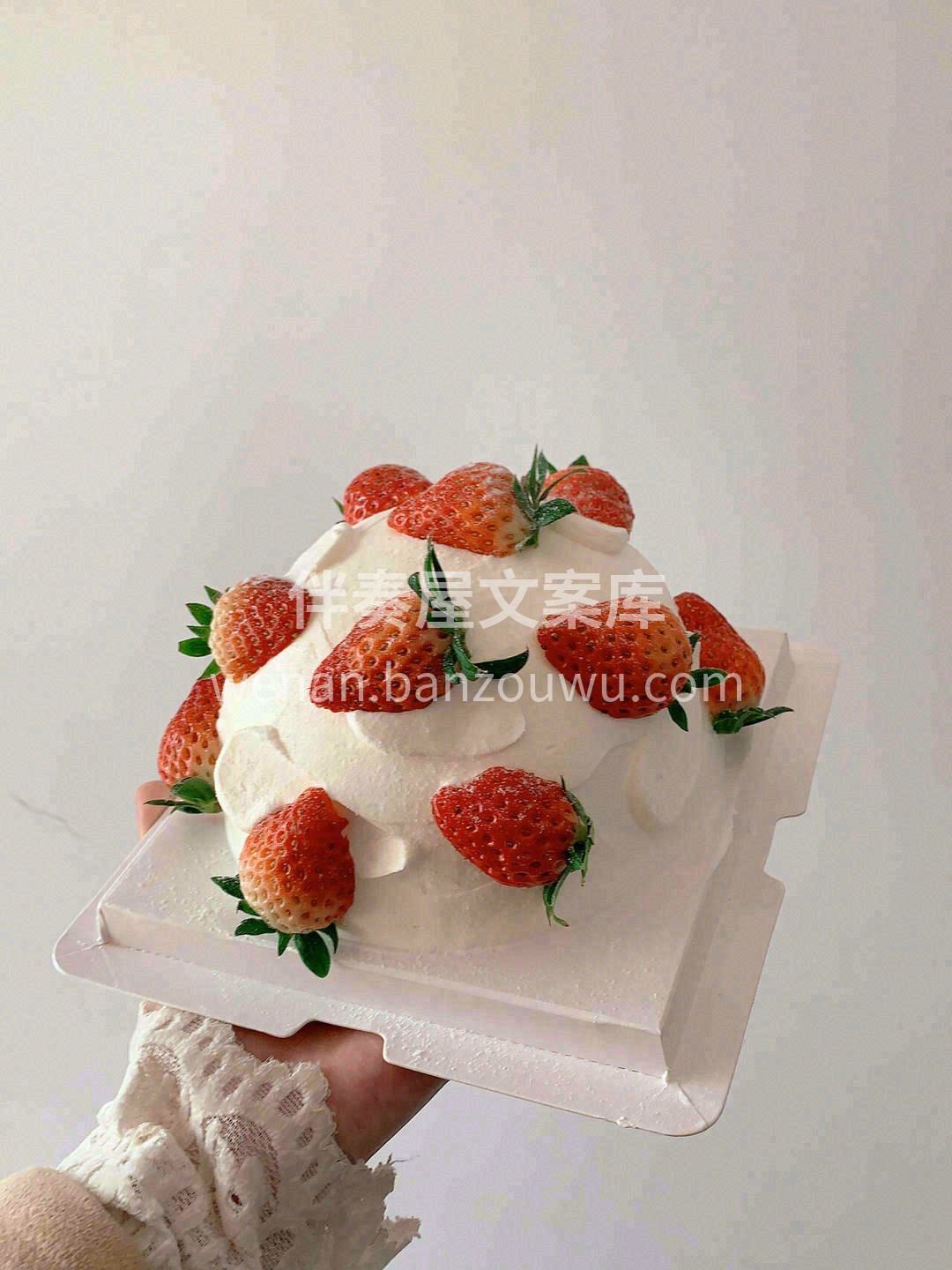 🍓草莓季限定 | 高颜值草莓炸弹💥 💗少