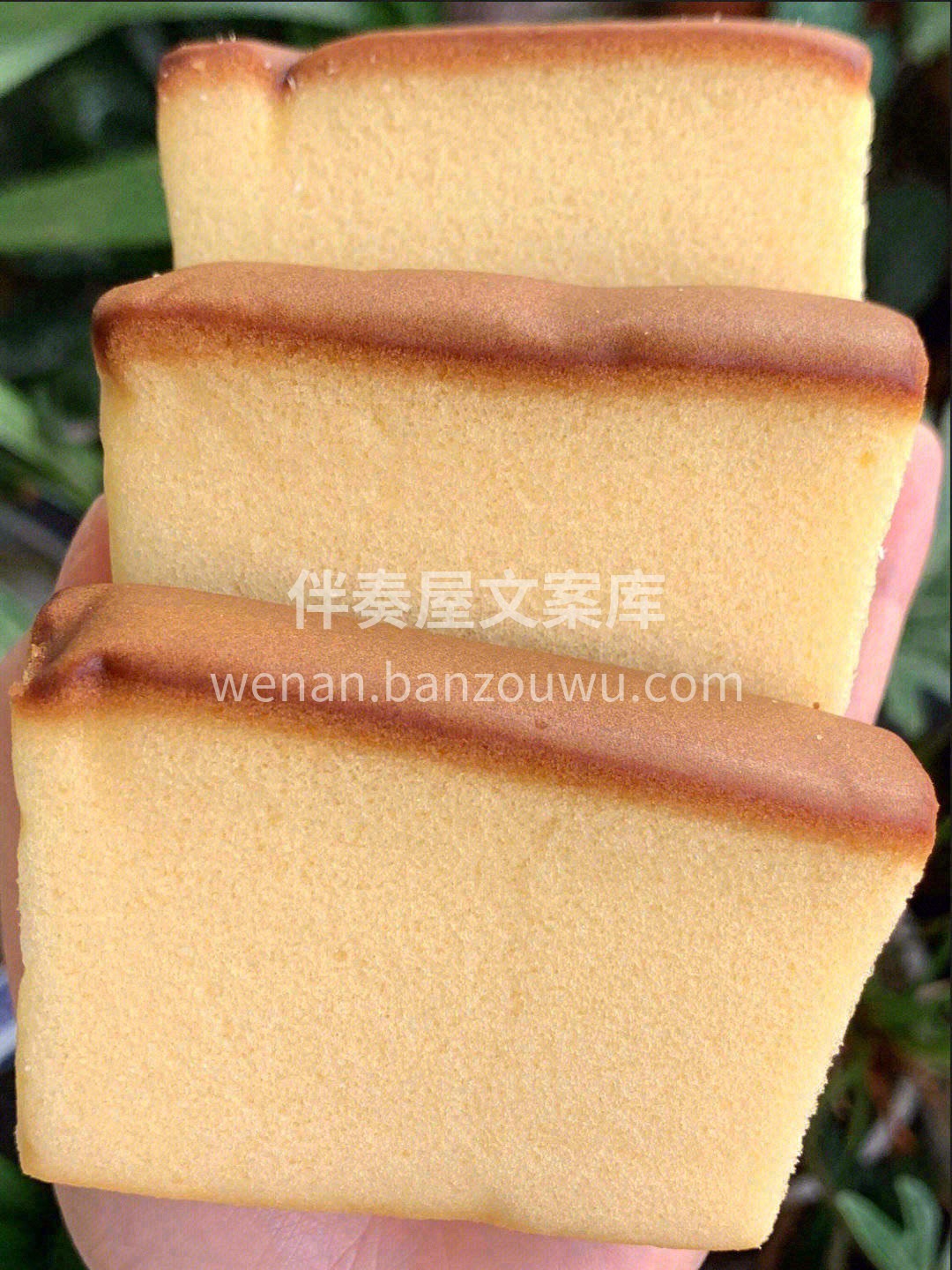 🍞饱满细腻，你轻轻按压就能在上面留下手印 配图3