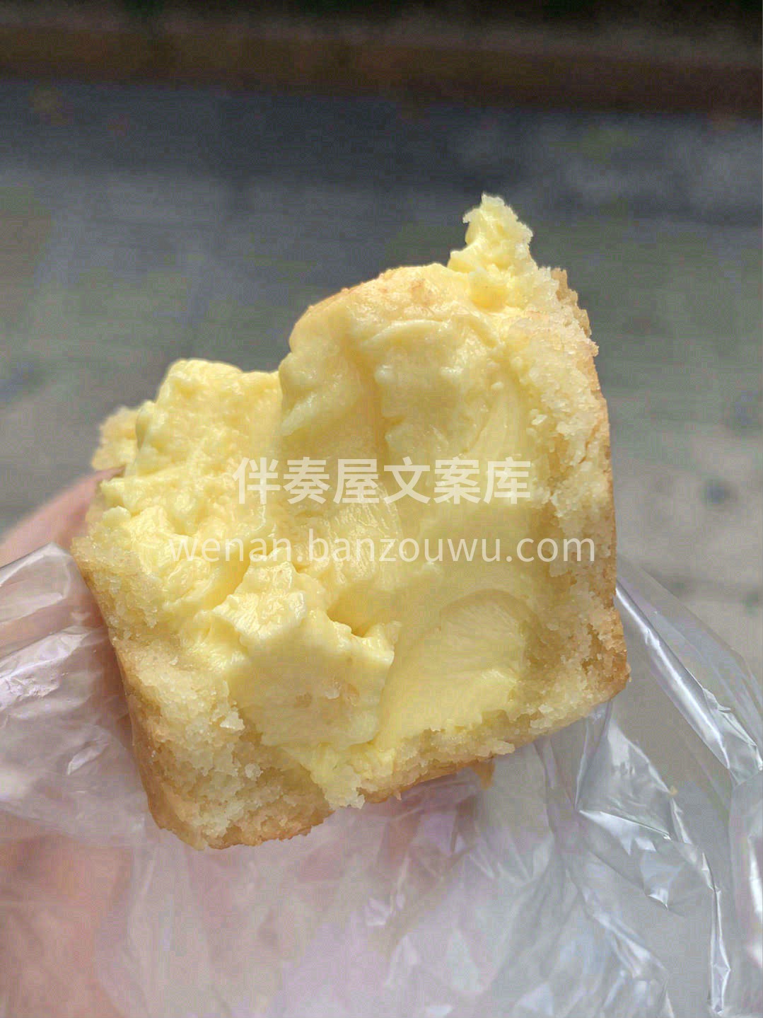 ✊拳头大小的蛋挞，你肯定没吃过😎喜欢浓郁 配图2