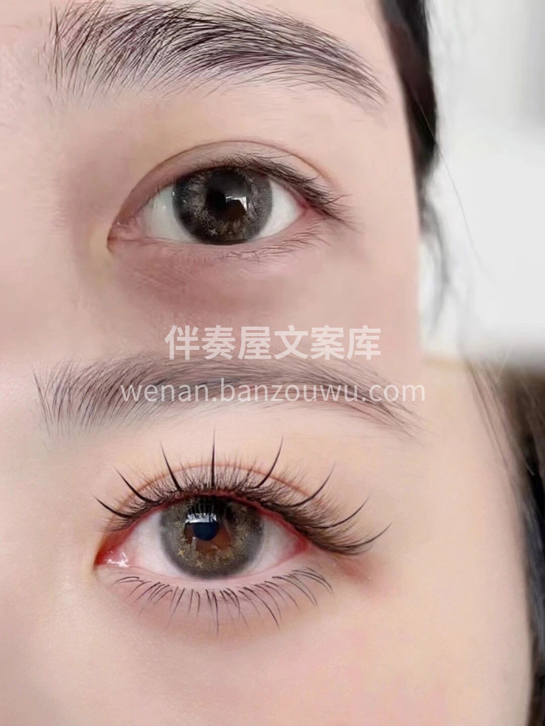 无论是梦幻可爱 还是高贵典雅 我们都能为