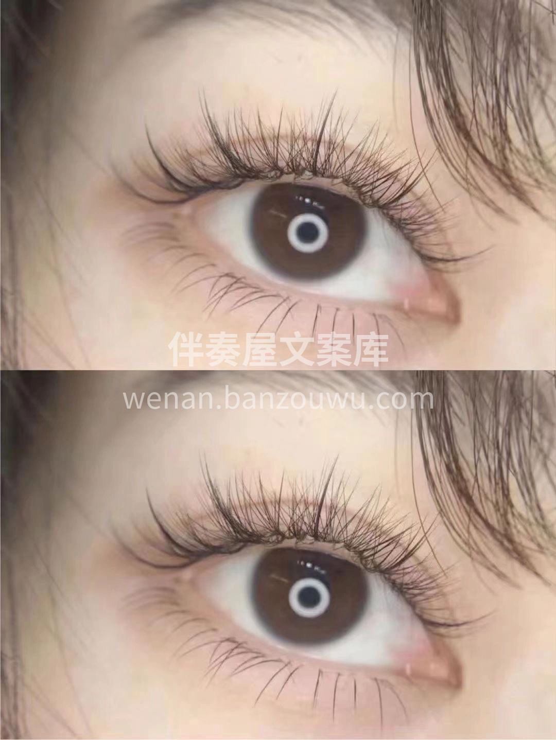 🎀˚‧º𝓜𝓮𝒾𝒿𝒾𝓮 º·˚🎀 ✼-无有