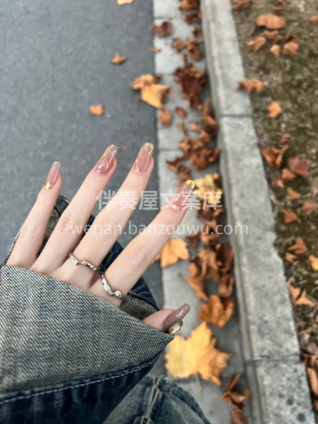⋆ ༘☀️ 今日份美麗🌻 ༘⋆ 𖠇 太阳负责给你温暖𖠇 𖠇  配图5