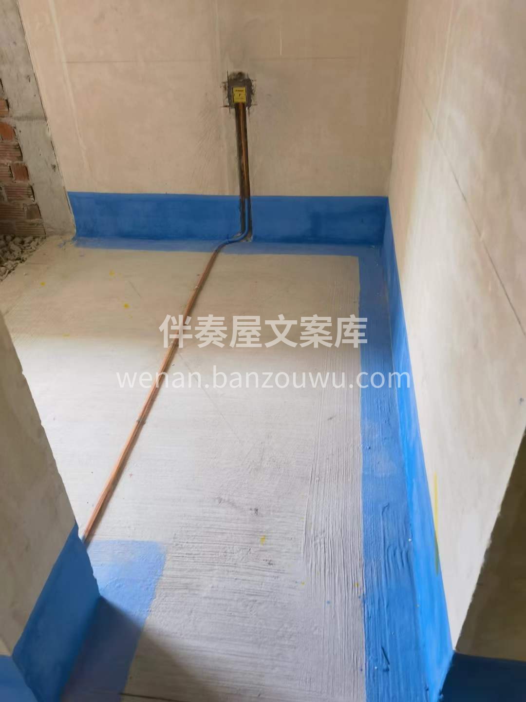 暑假的朋友圈里，6个人在西藏， 10个人 配图3