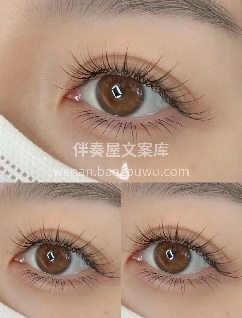 单根太阳花 它看似简单，却有着独特的魅力