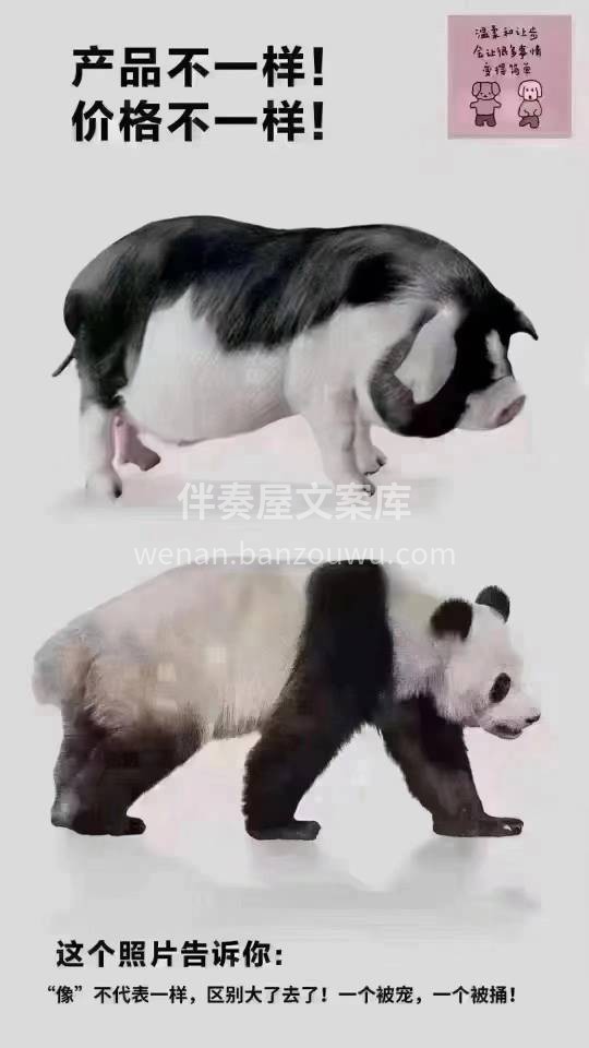“你家装修不错，但是有点贵， 别人家的和 配图2