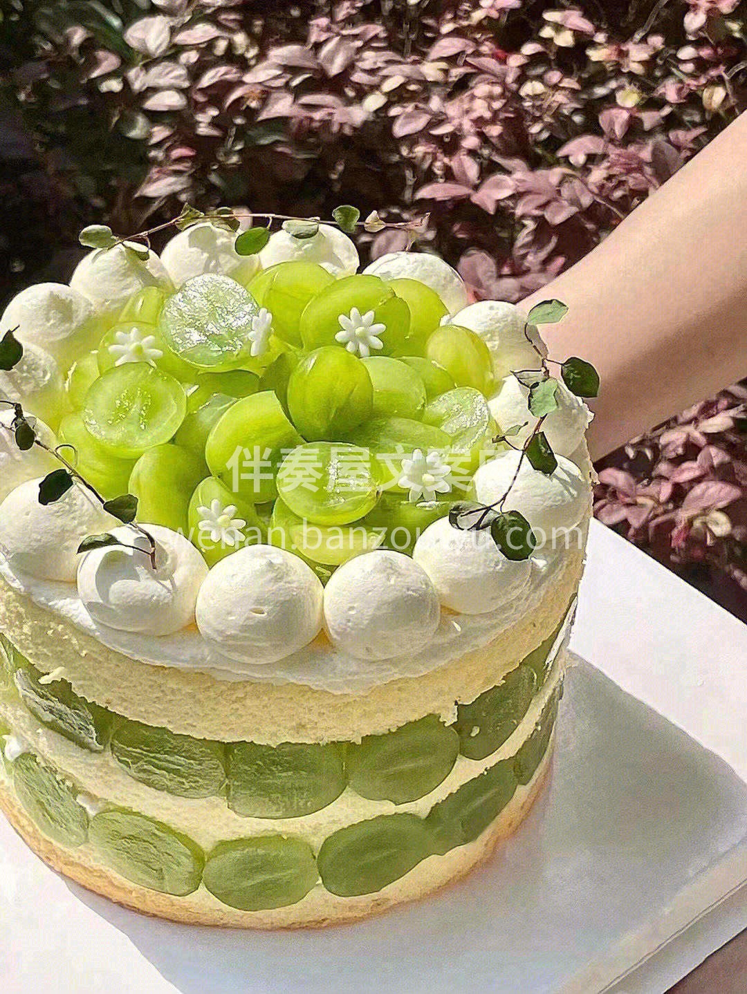 清甜的晴王葡萄和淡雅茉莉花香🌷，是女孩们 配图1